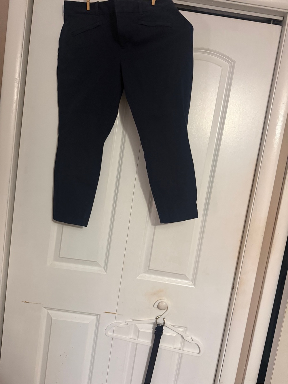 GAP Signature Skinny Ankle Pants 12P Petite Navy Blue Stretch